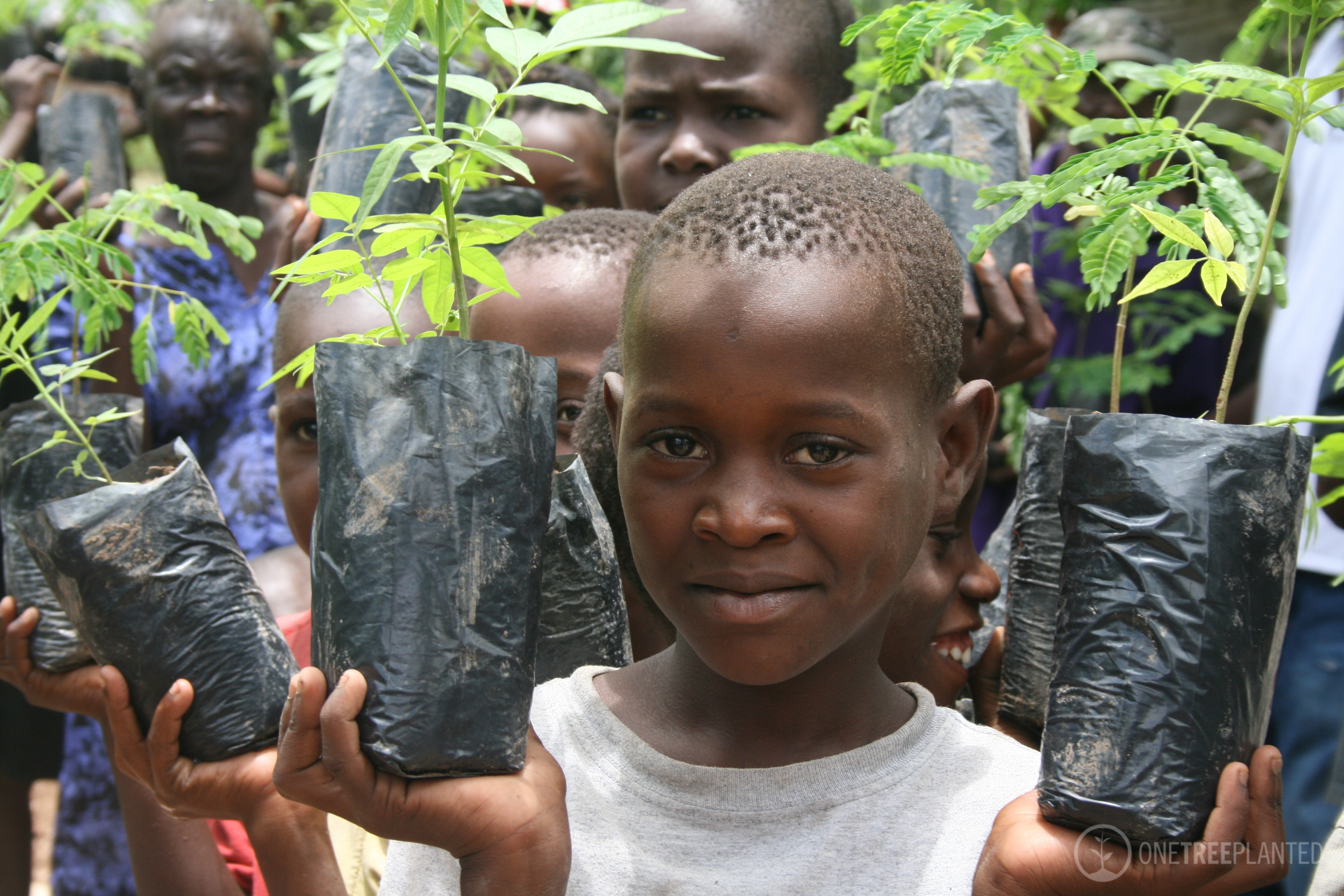 One-Tree-Planted one-tree-planted