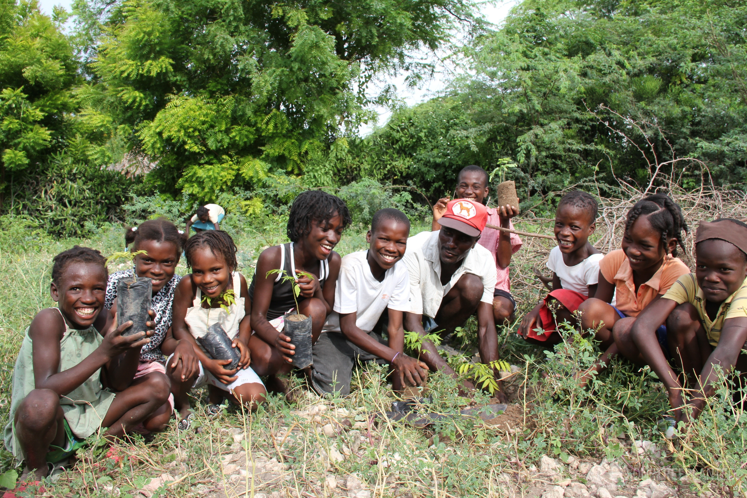 One-Tree-Planted-3